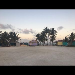 Meet your Posher, Audrey